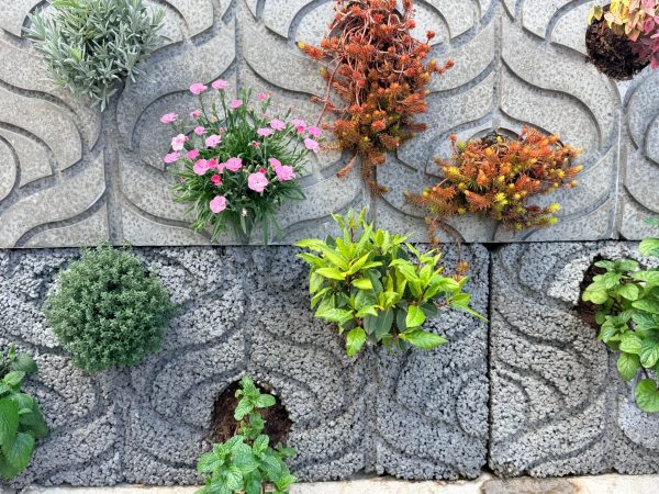 noha-green_wall_frontal_002